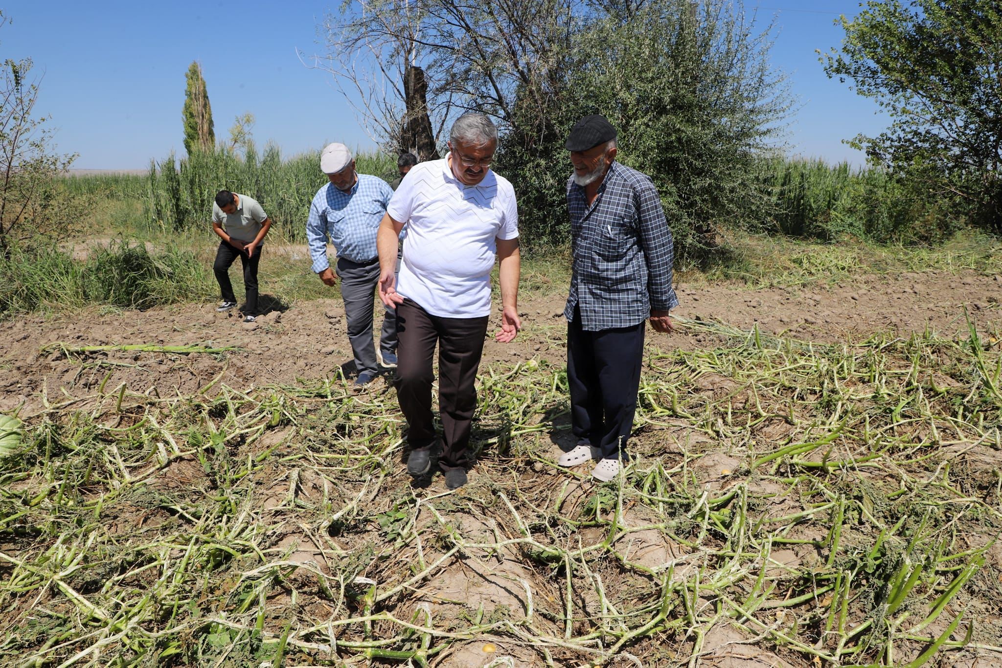 Milletvekili Yurdunuseven Zarar Gören Tarım Arazilerini Inceledi (2)