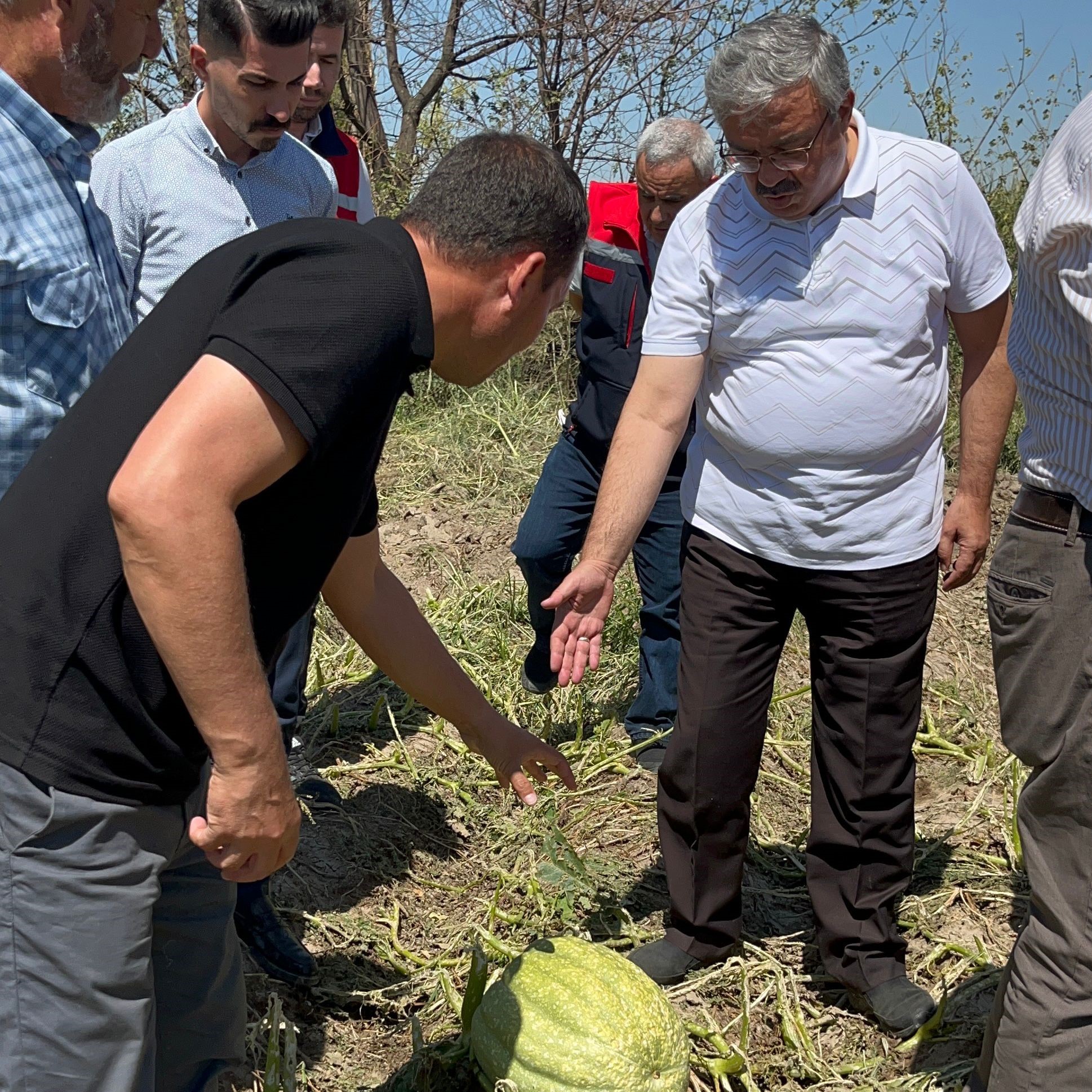 Milletvekili Yurdunuseven Zarar Gören Tarım Arazilerini Inceledi (4)
