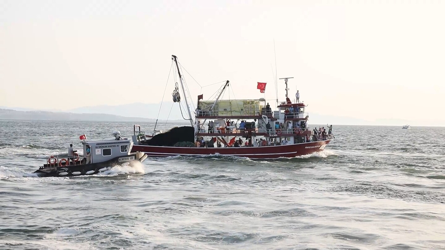 Muglada Av Yasagi Sona Erdi (1)