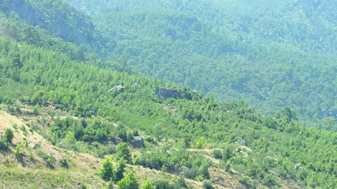 Nuryol Taş Ocağı Talanı