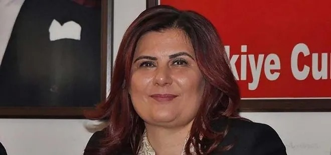 Şefik Alp Çerçioğlu Kimdir 2
