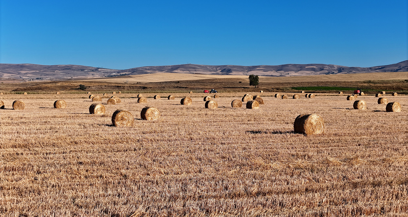Tarım Ve Orman Bakanlığı’ndan Iklim Krizine Karşı Beyşehir Gölü Hamlesi (1)-1
