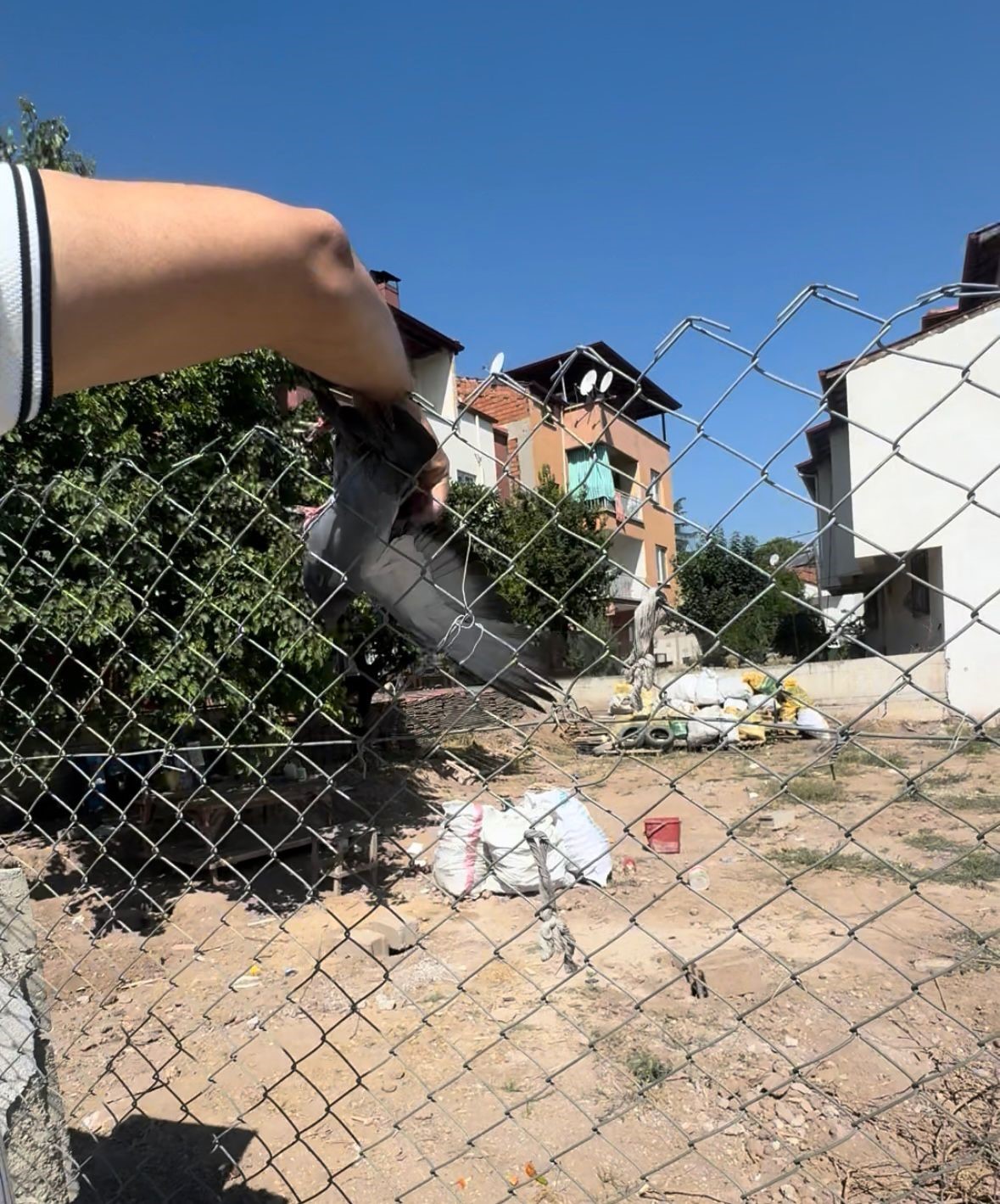 Tellere Takılan Güvercin Imdadına Muhtar Yetişti (2)