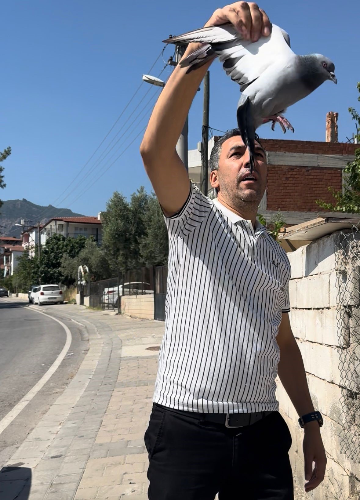 Tellere Takılan Güvercin Imdadına Muhtar Yetişti (3)