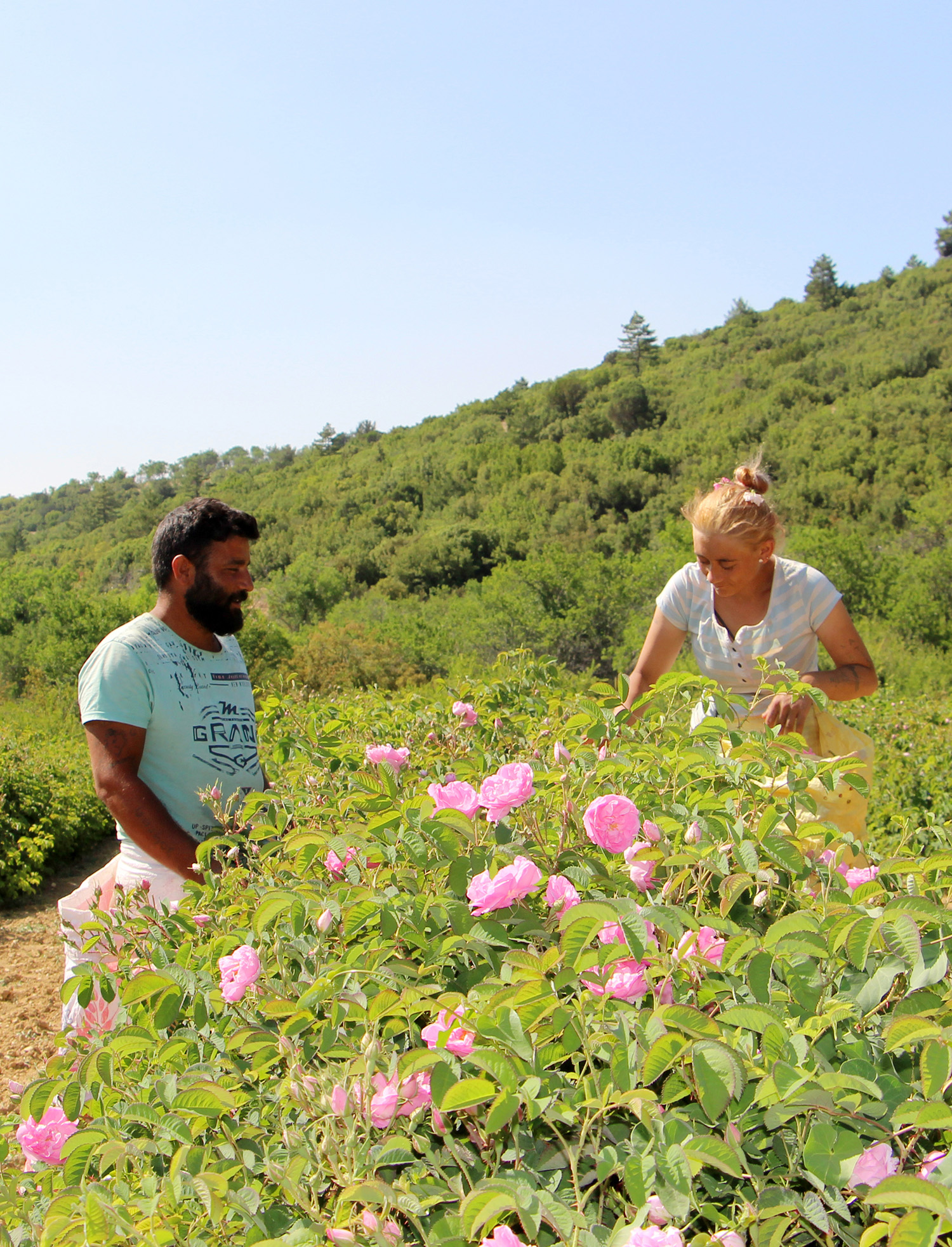 Türkiye’yi Zor Günler Bekliyor! Yüzde 30 Kayıp Yaşandı (4)