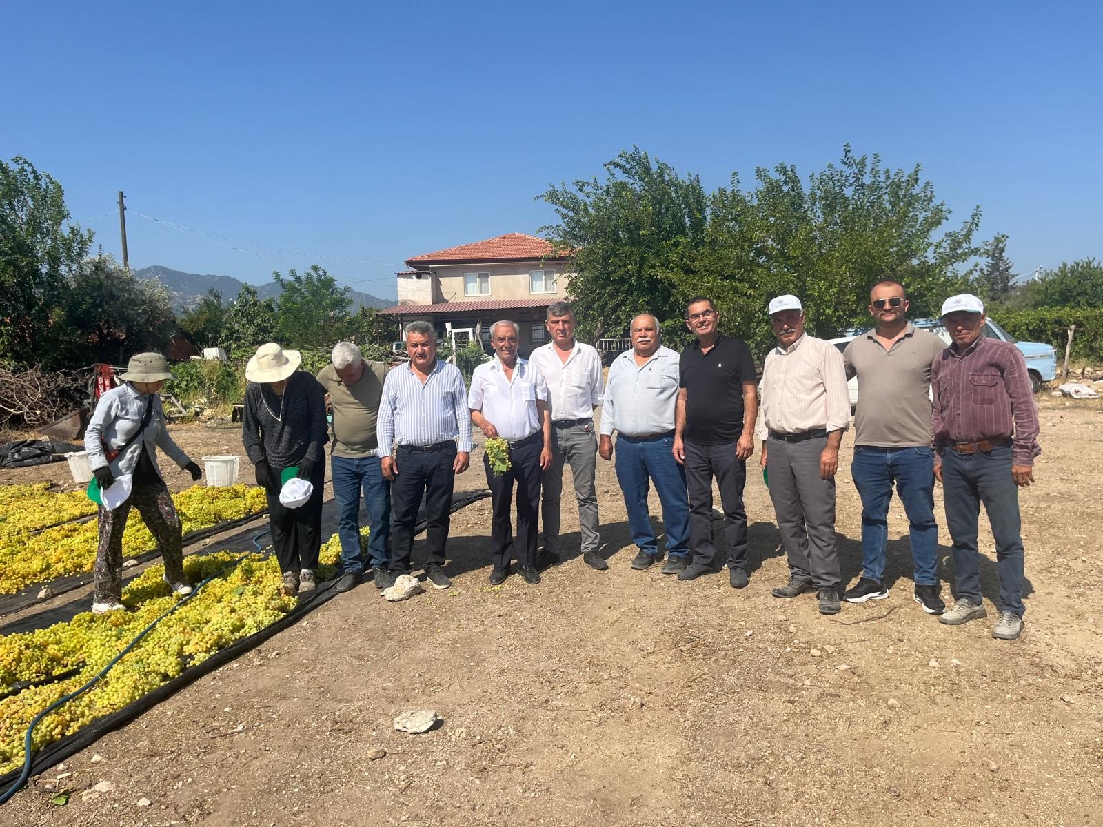 Üzümde Fiyat Belirsizliği Hem Üreticiyi Hem De Çalışanları Tedirgin Ediyor (5)