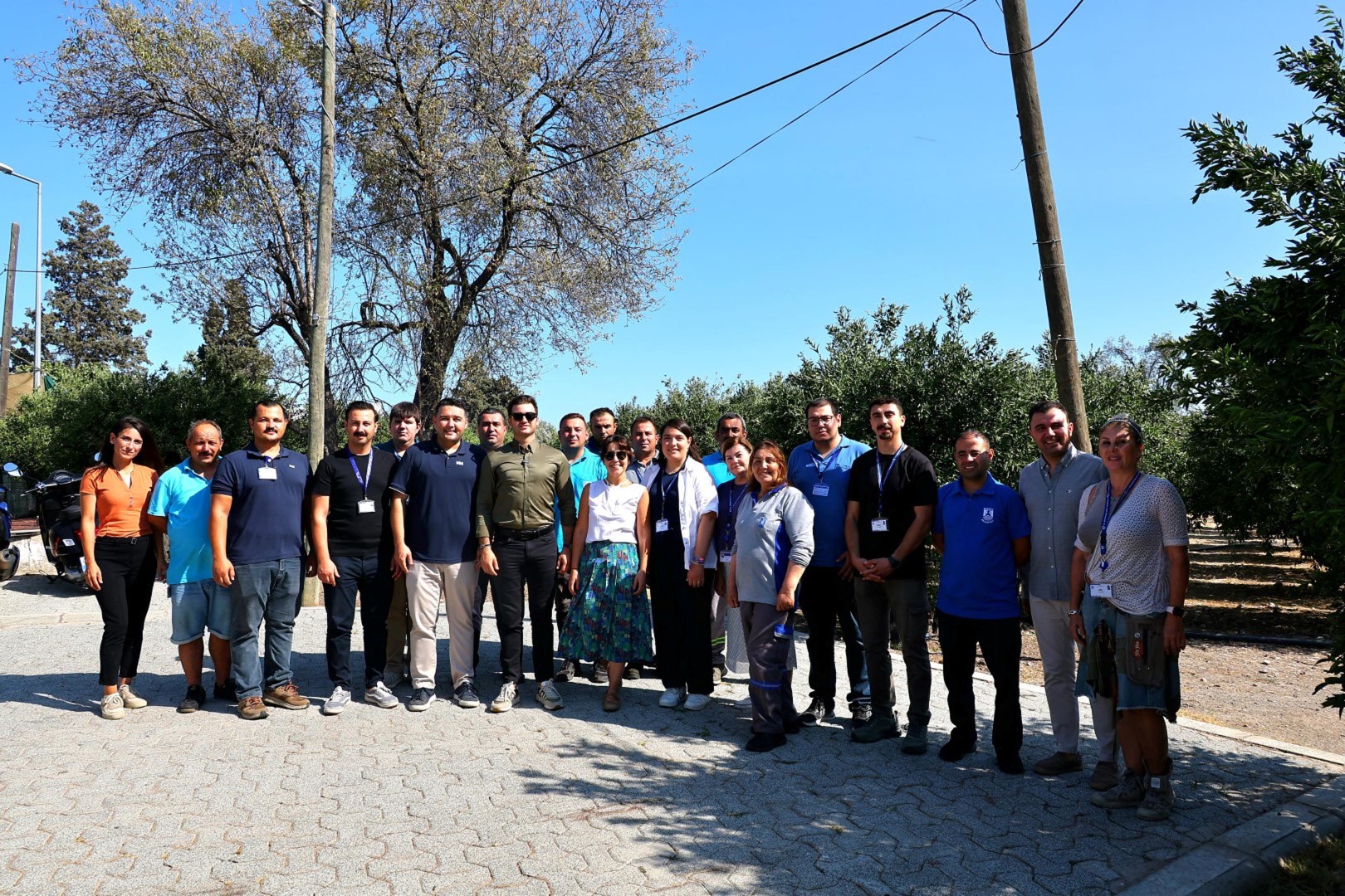 Yesil Bodrum Mandalinasi Marketlerde Ve (3)