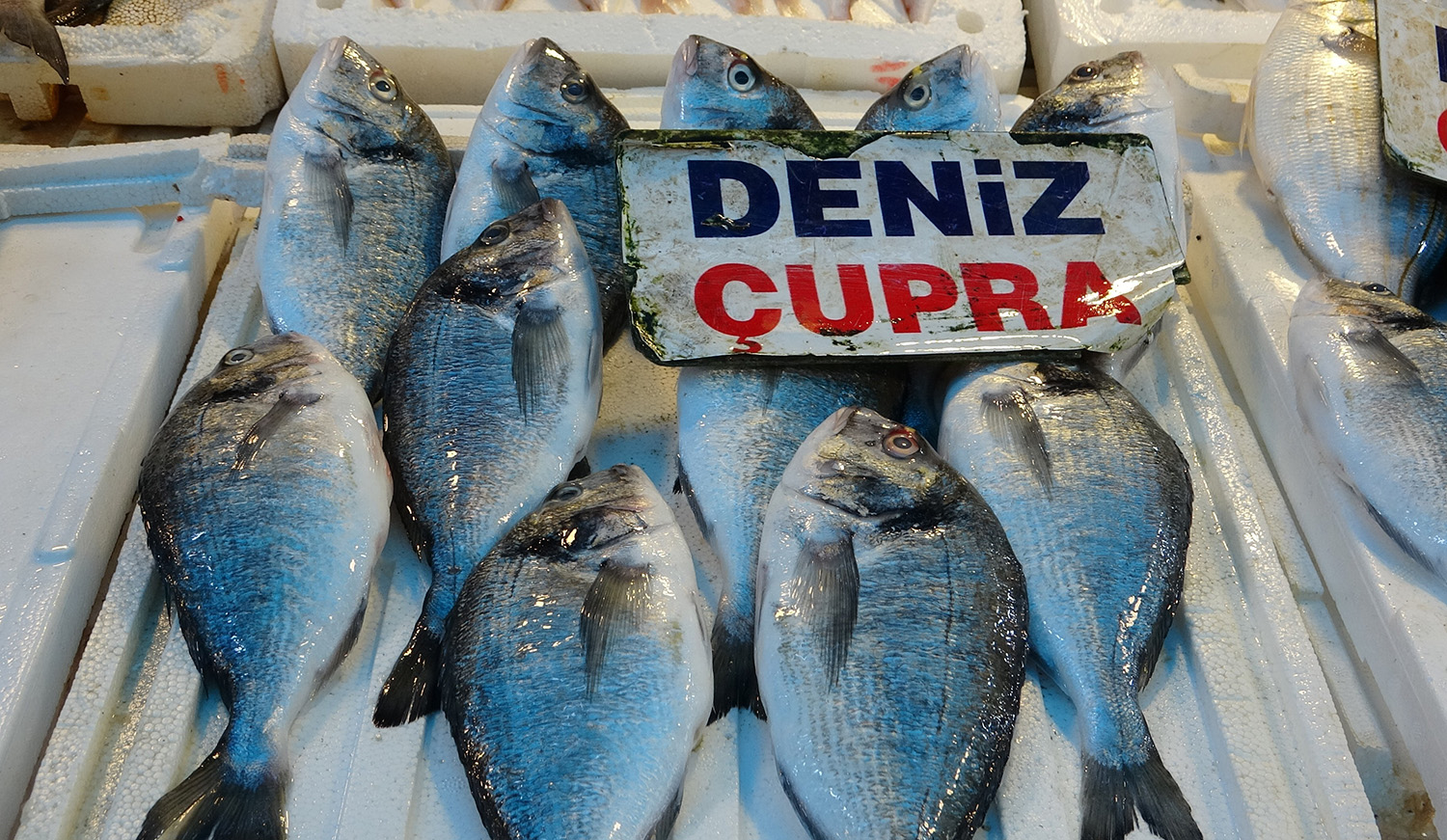 Akdeniz’de Av Yasağı Bitti, Tezgahlarda Bolluk Başladı (4)