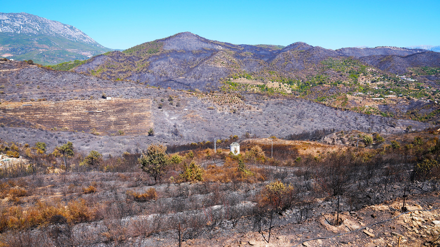 Alanya Belediye Başkanı Özçelik Yangın Ile Ilgili Yeni Uygulamayı Açıkladı (4)