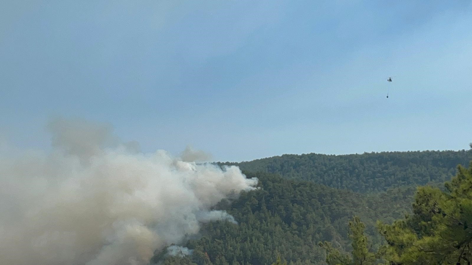 Alanya'da Ormanlık Alan Yangınları Kontrol Altına Alınmaya Çalışılıyor (3)