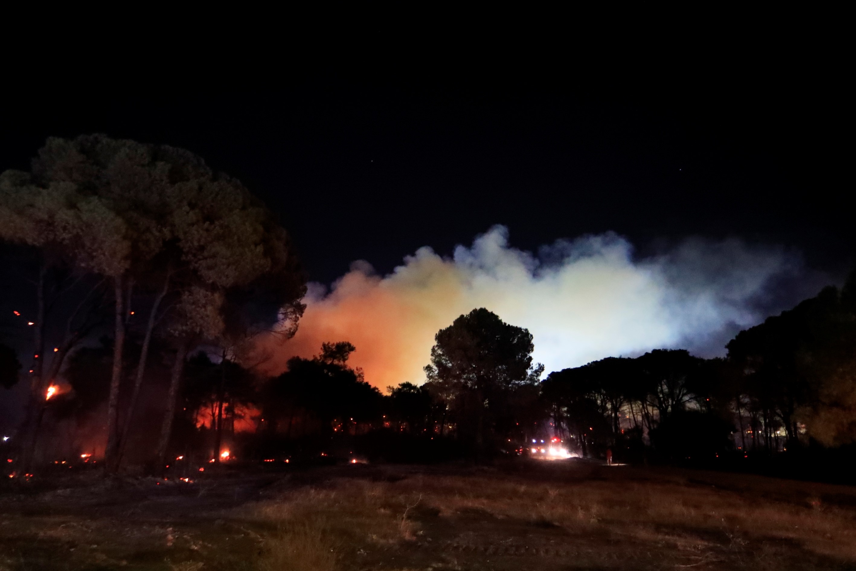 Antalya'da Otellere Yakın Ormanlık Alanda Çıkan Yangın Kontrol Altına Alındı (6)