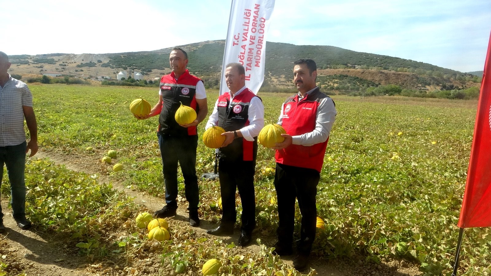Ata Tohumundan Gelen Miras Yayla Kavunu Karabağlar'da Yüz Yıllardır Yaşatılıyor (2)