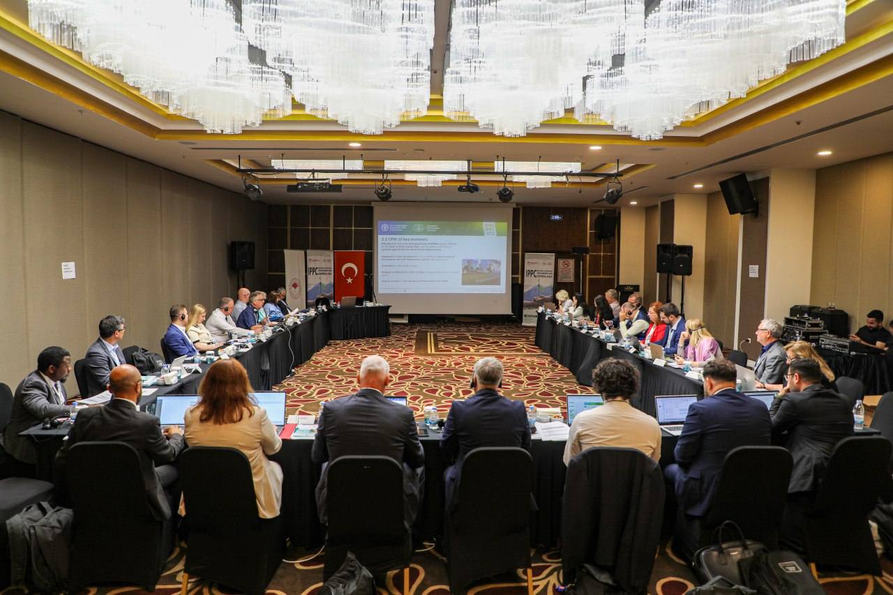Bitki Sağlığı (1)