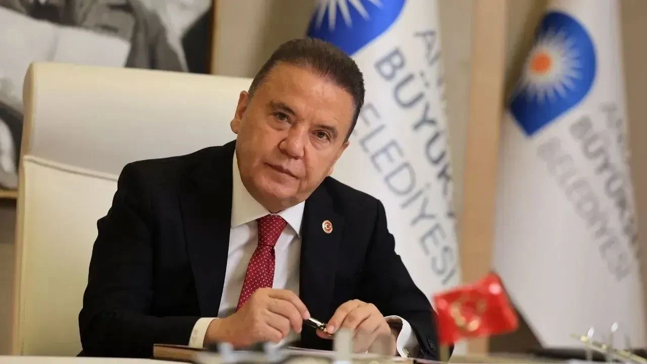 Böcek Başkan