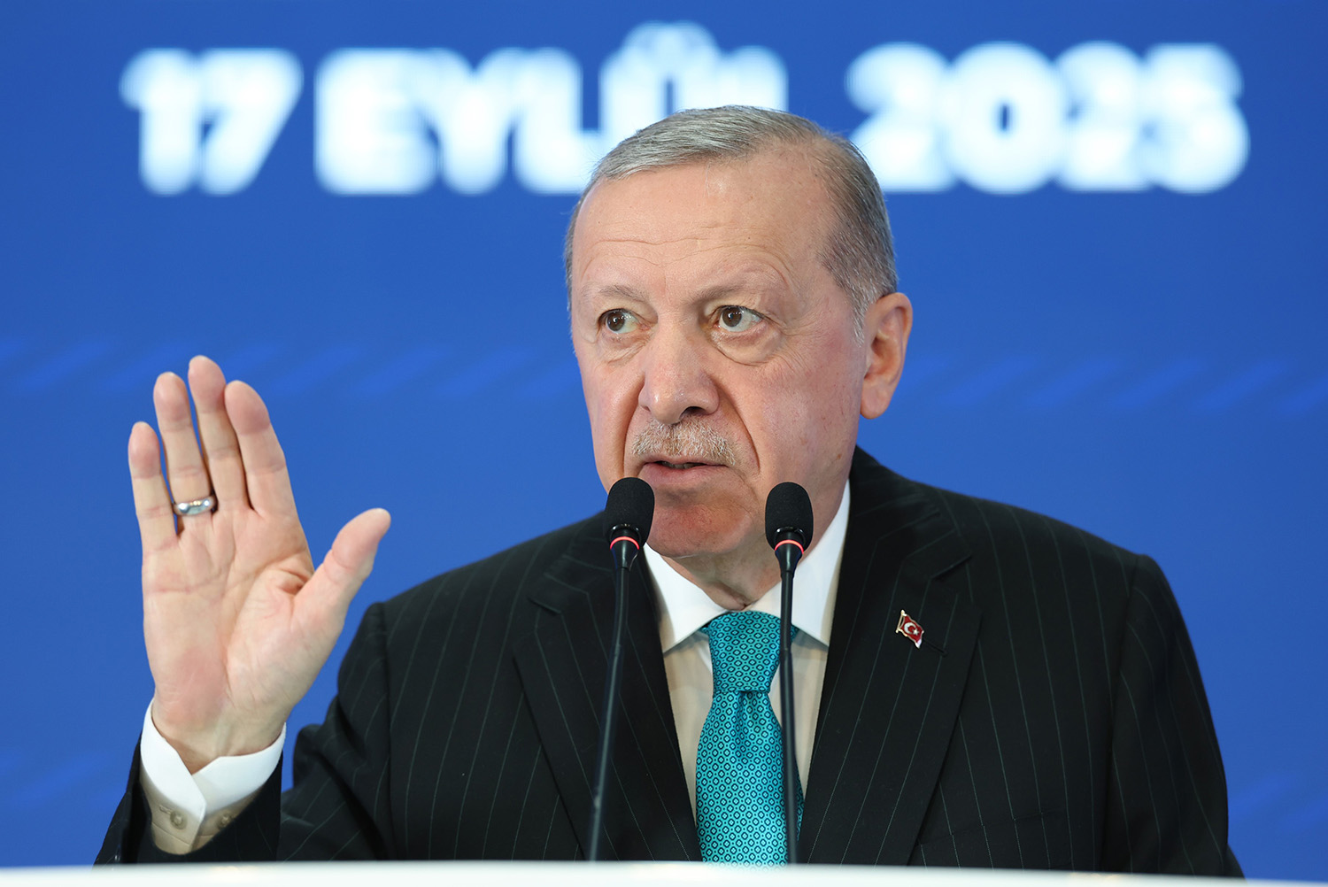 Cumhurbaskanı Erdogandan Kuyruk Acısı' Acıklaması (1)