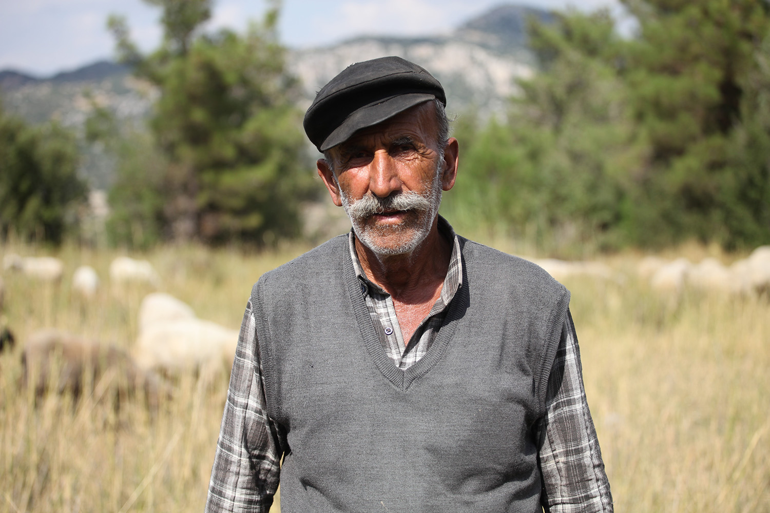 Daglarında Yarım Asırdır Koyunların Pesinde (1)