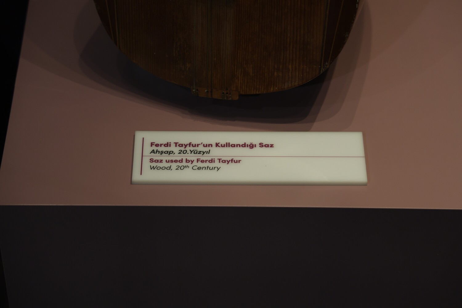 Ferdi Tayfur Muzesi (3)