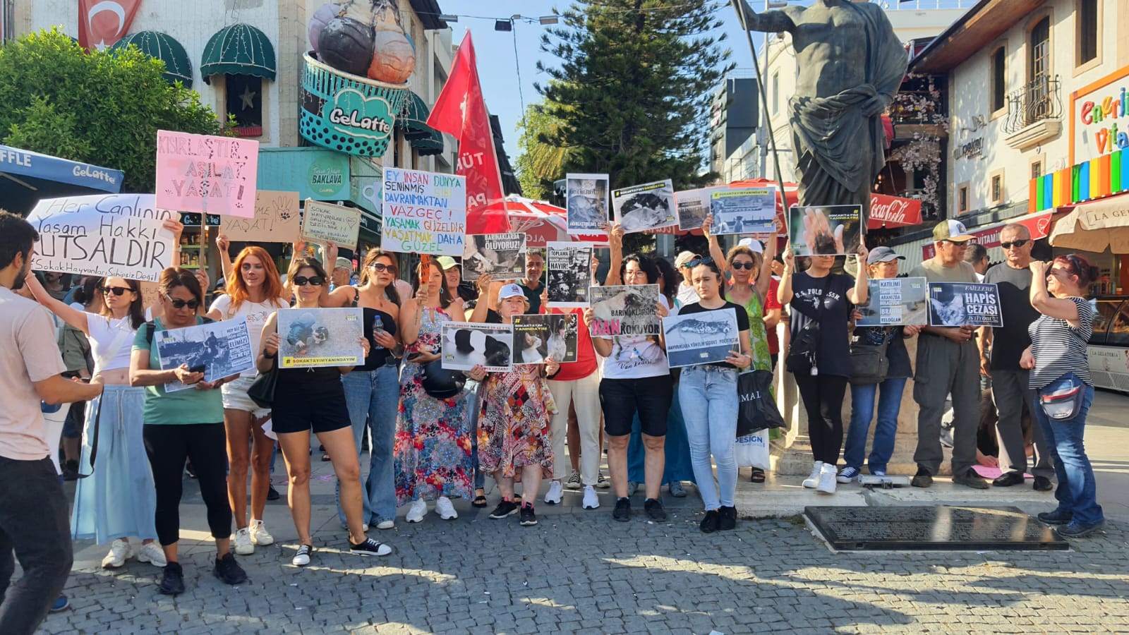 Hayvan Hareketi Birliği Nedir (1)