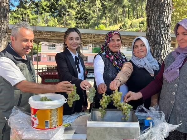 İklime Dirençli Ormancılık Projesi (2)