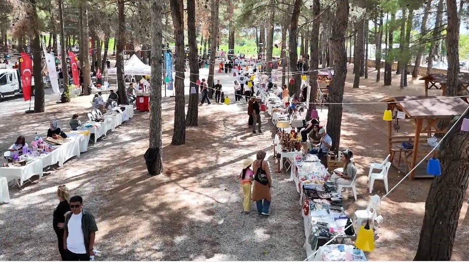 Insuyu Magarasi Festival (3)