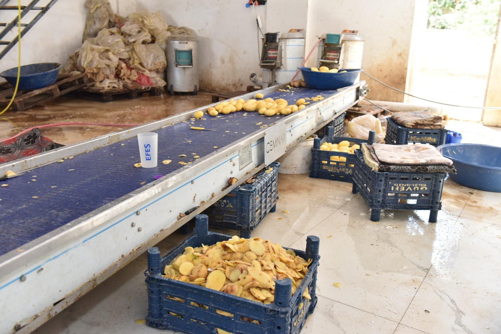 Kepezde 1,5 Ton Patates Imha Edildi 6