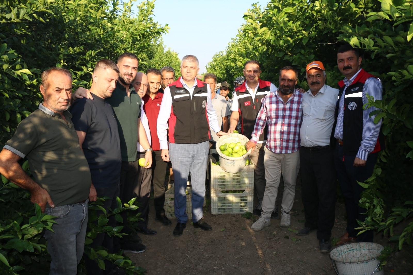 Limon Hasadı 25 Ve 27 Eylül Tarihlerinde Başladı (4)