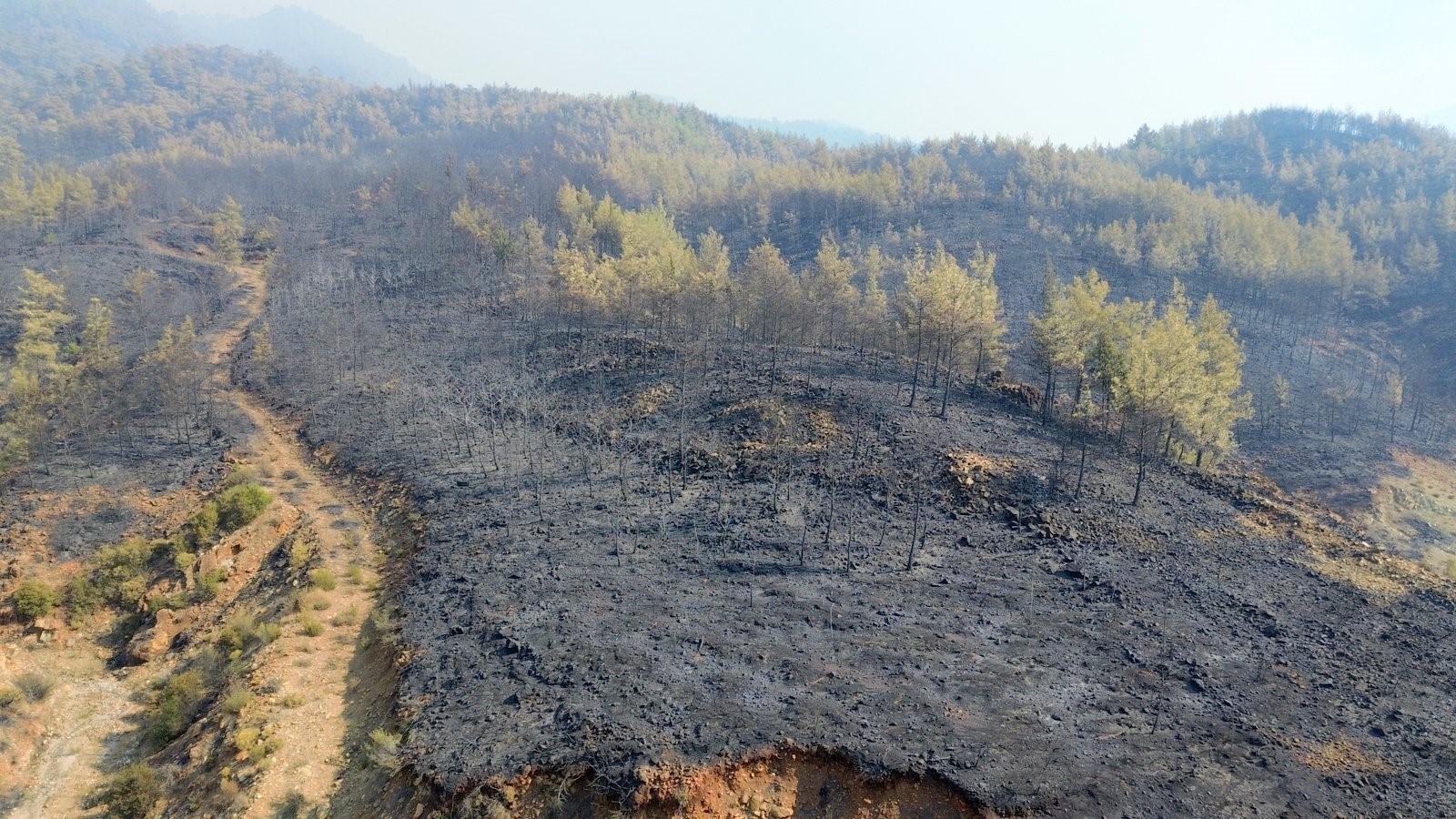 Mugla Yangini (3)