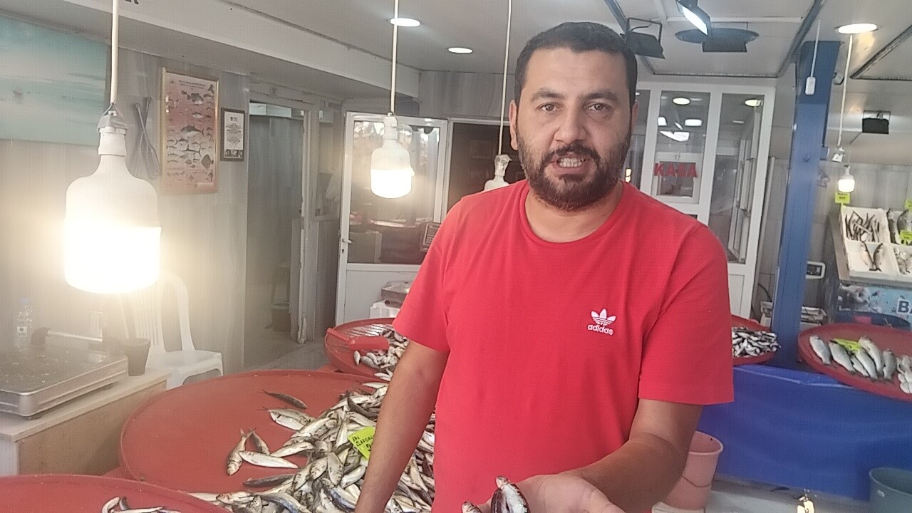 Muğla'da Karadeniz Hamsisi Kilosu 250 Tl'den Satışta (3)