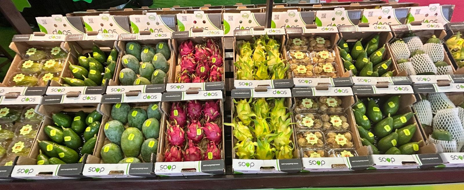 Şevki Öncel (5)