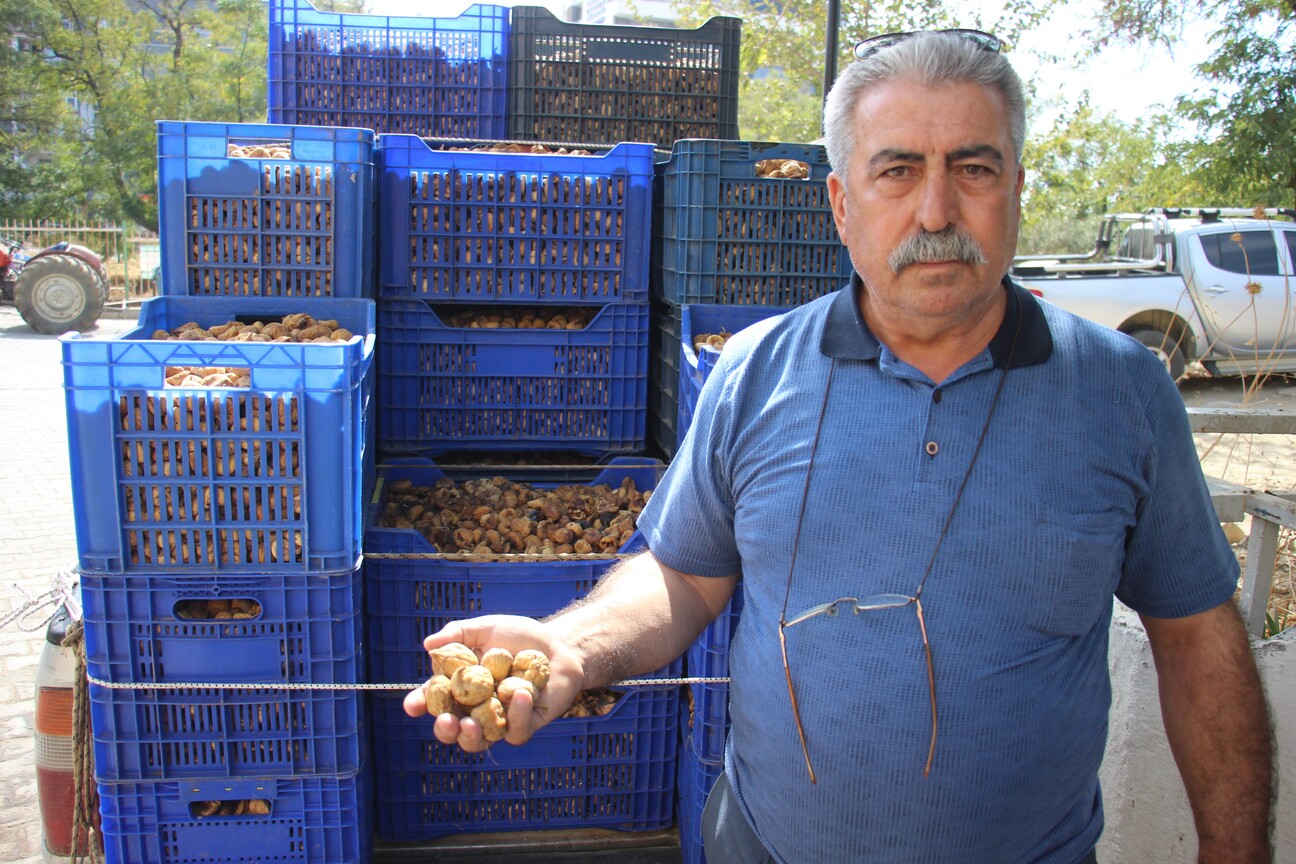 Tari̇ş Alımları Erken Kapattı, Üretici Tüccara Tepki Gösterdi (2)