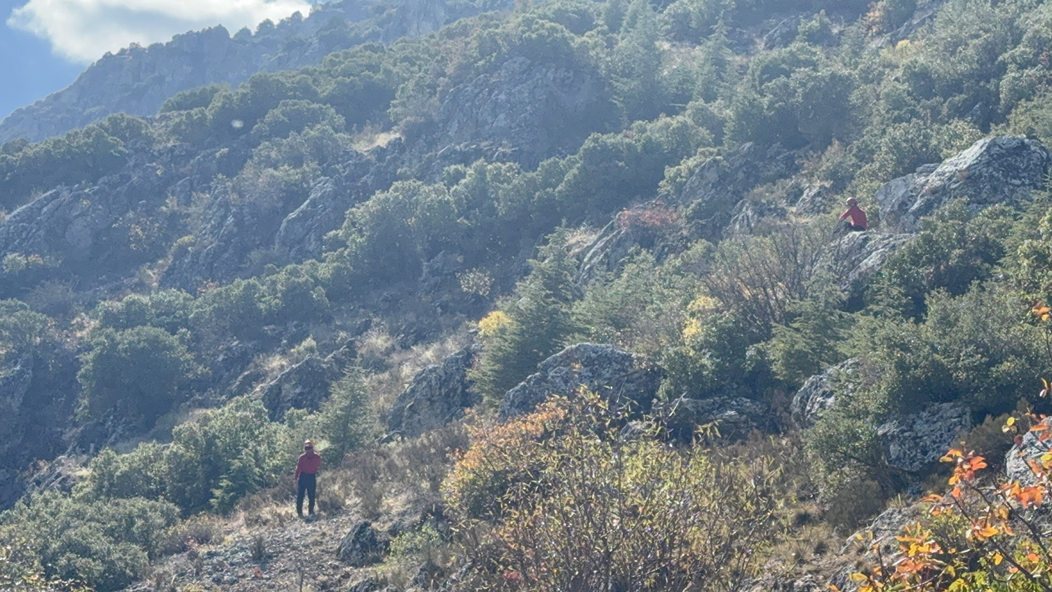 Adamdan Güldüren Cevap (4)