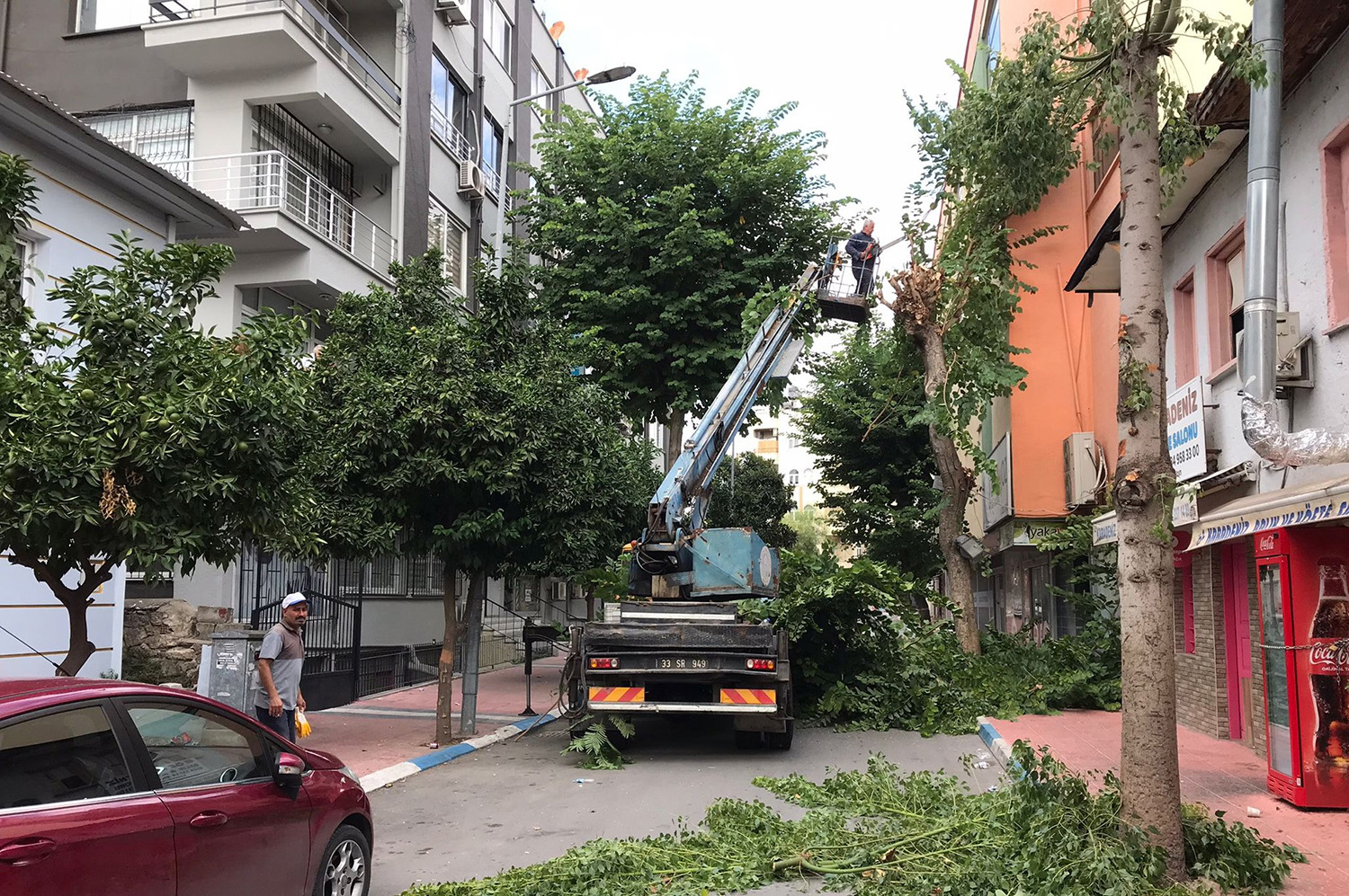 Akdeniz'de Ağaçlara Sonbahar Bakımı (2)