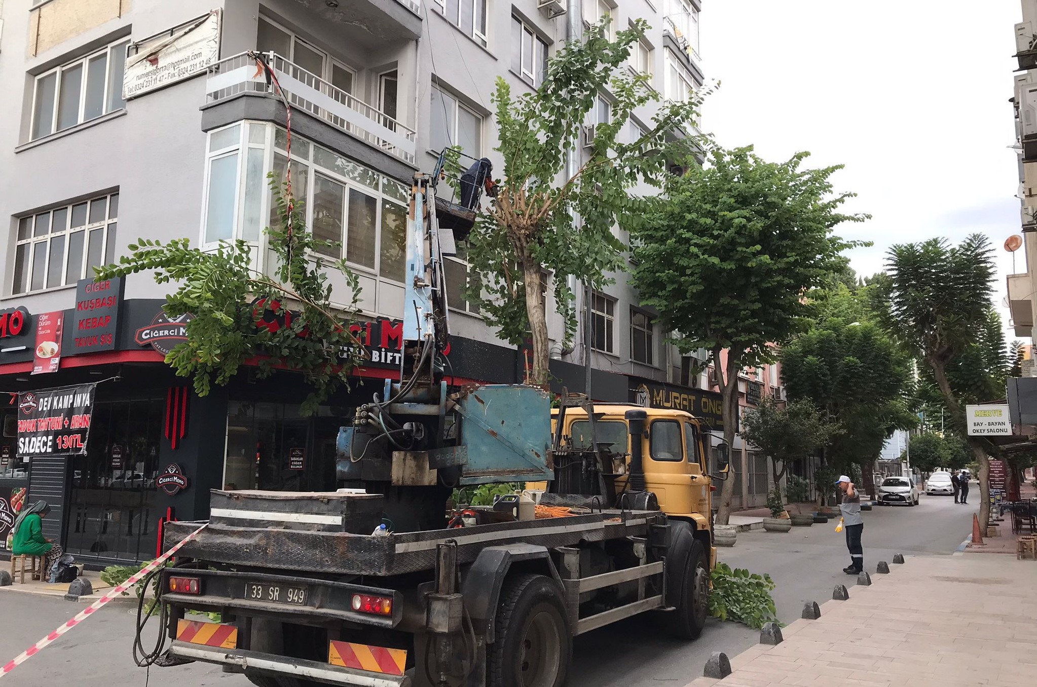 Akdeniz'de Ağaçlara Sonbahar Bakımı (3)
