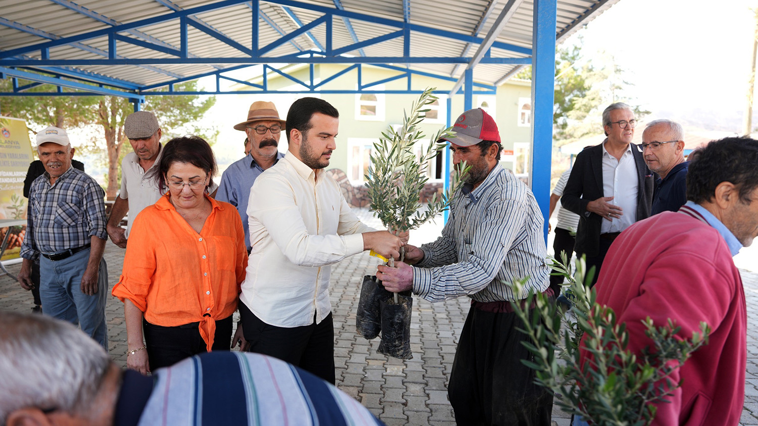 Alanya'daki Yangın Bölgesinde 3 Bin 400 Zeytin Fidanı Bahçe Sahiplerine Dağıtıldı (4)