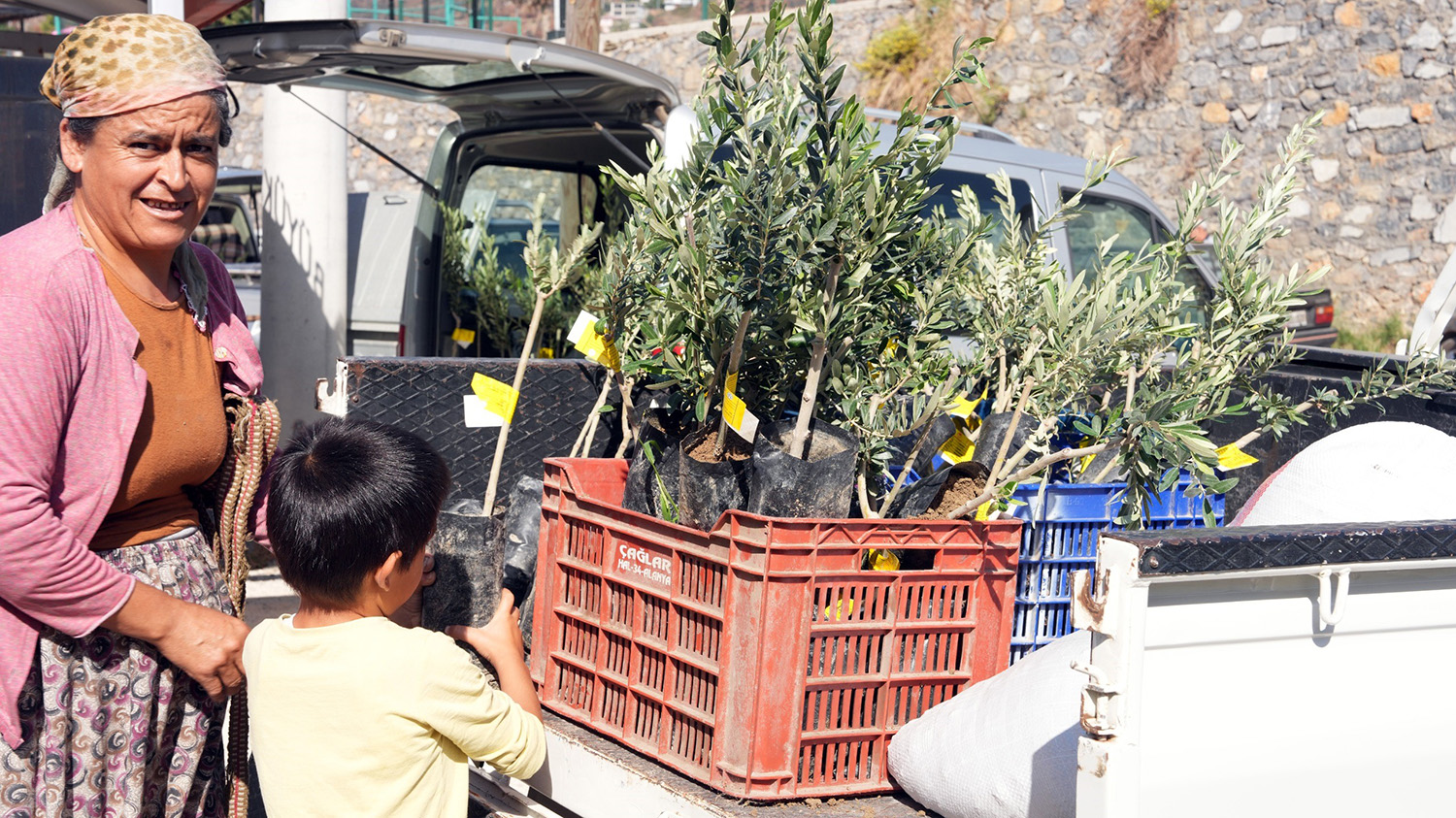 Alanya'daki Yangın Bölgesinde 3 Bin 400 Zeytin Fidanı Bahçe Sahiplerine Dağıtıldı (5)
