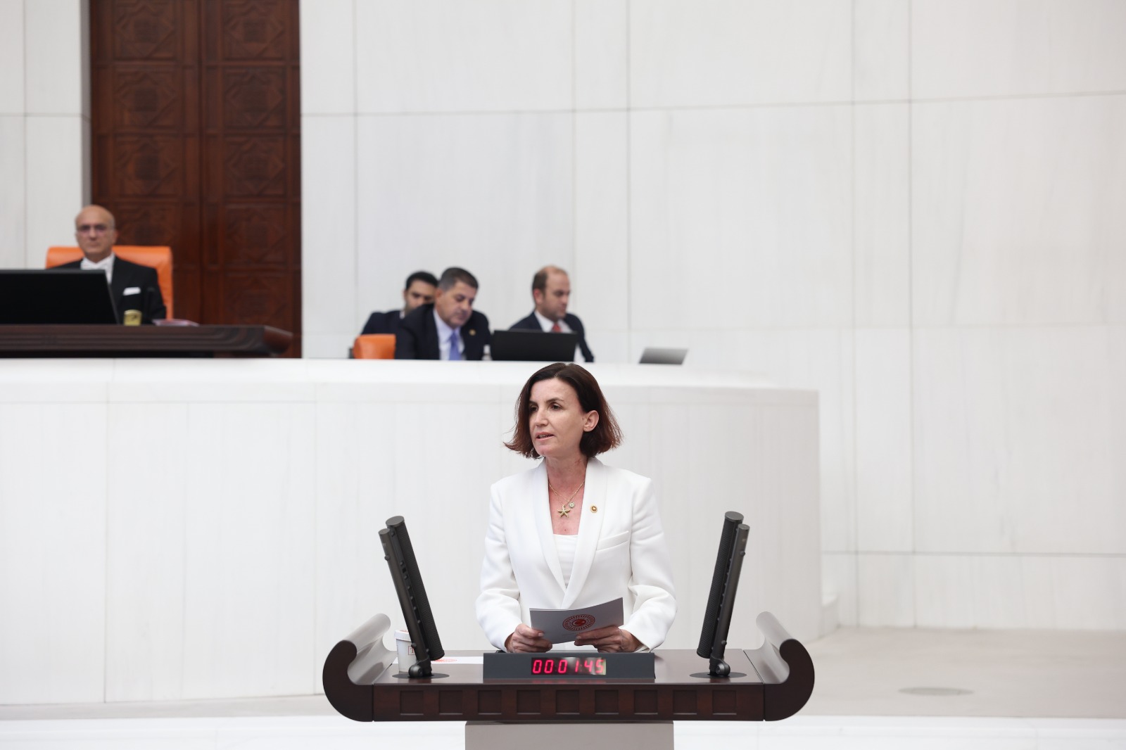 Aliye Coşar (3)-2