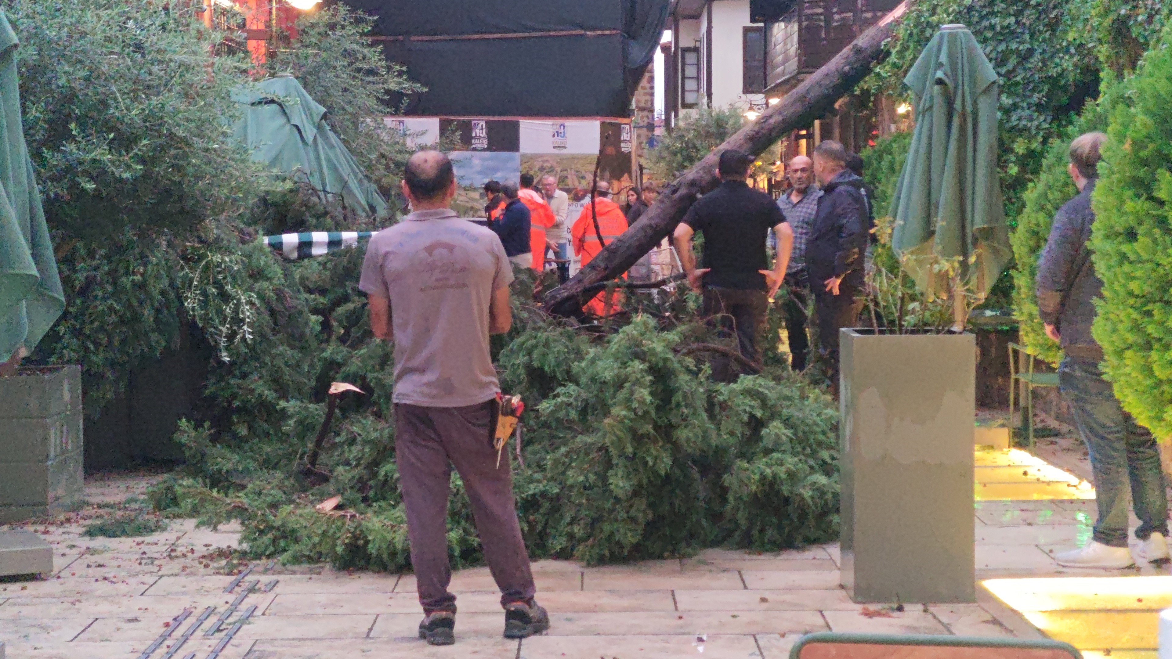 Antalyada 3 Kisinin Ustune Agac Devrildi (3)