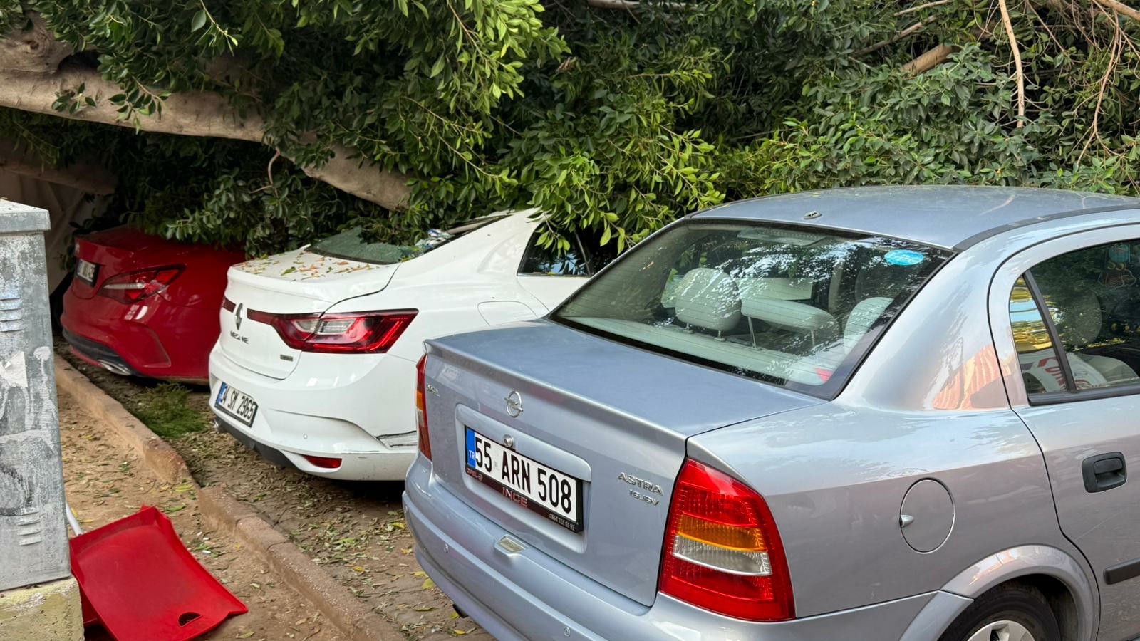 Antalyada 30 Yillik Agac Arabalarin Uzerine Devrildi (2)