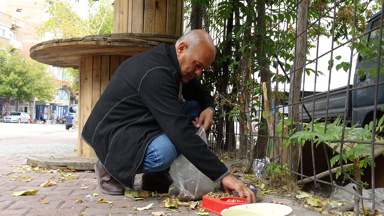 Beslemek Istediği Köpek Saldırdı, Koluna 10'Dan Fazla Dikiş Atıldı (6)