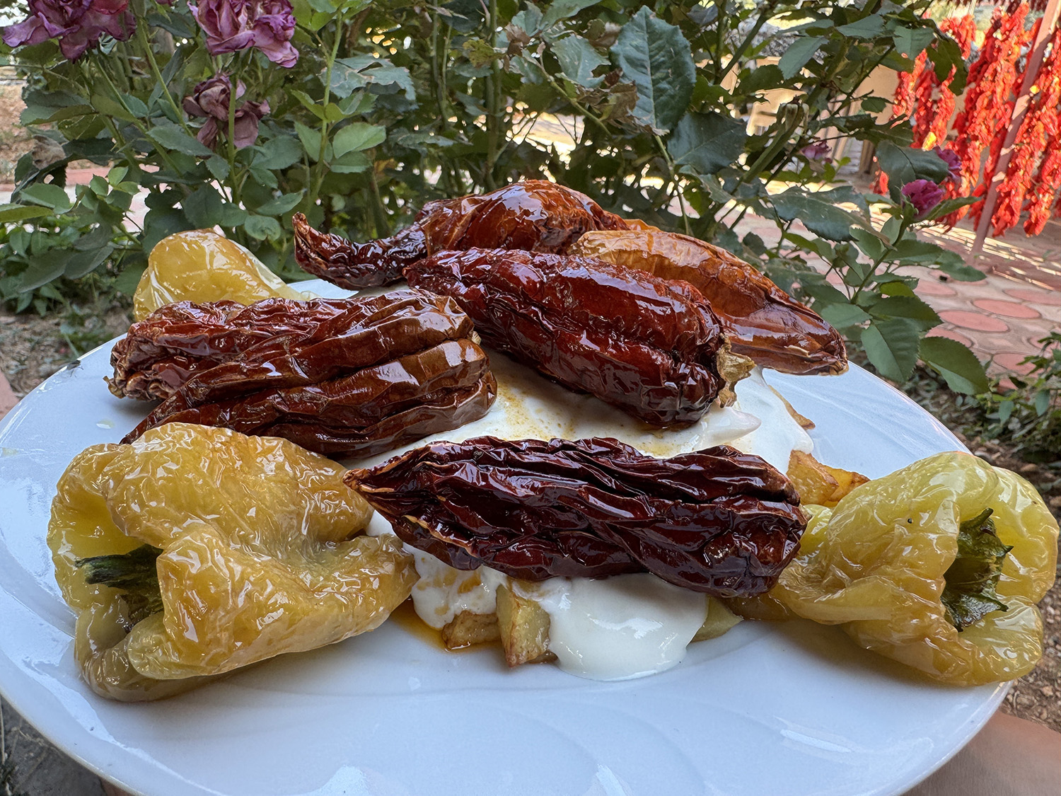 Biber Tatarı Ve Pidesine Bayıldı (3)