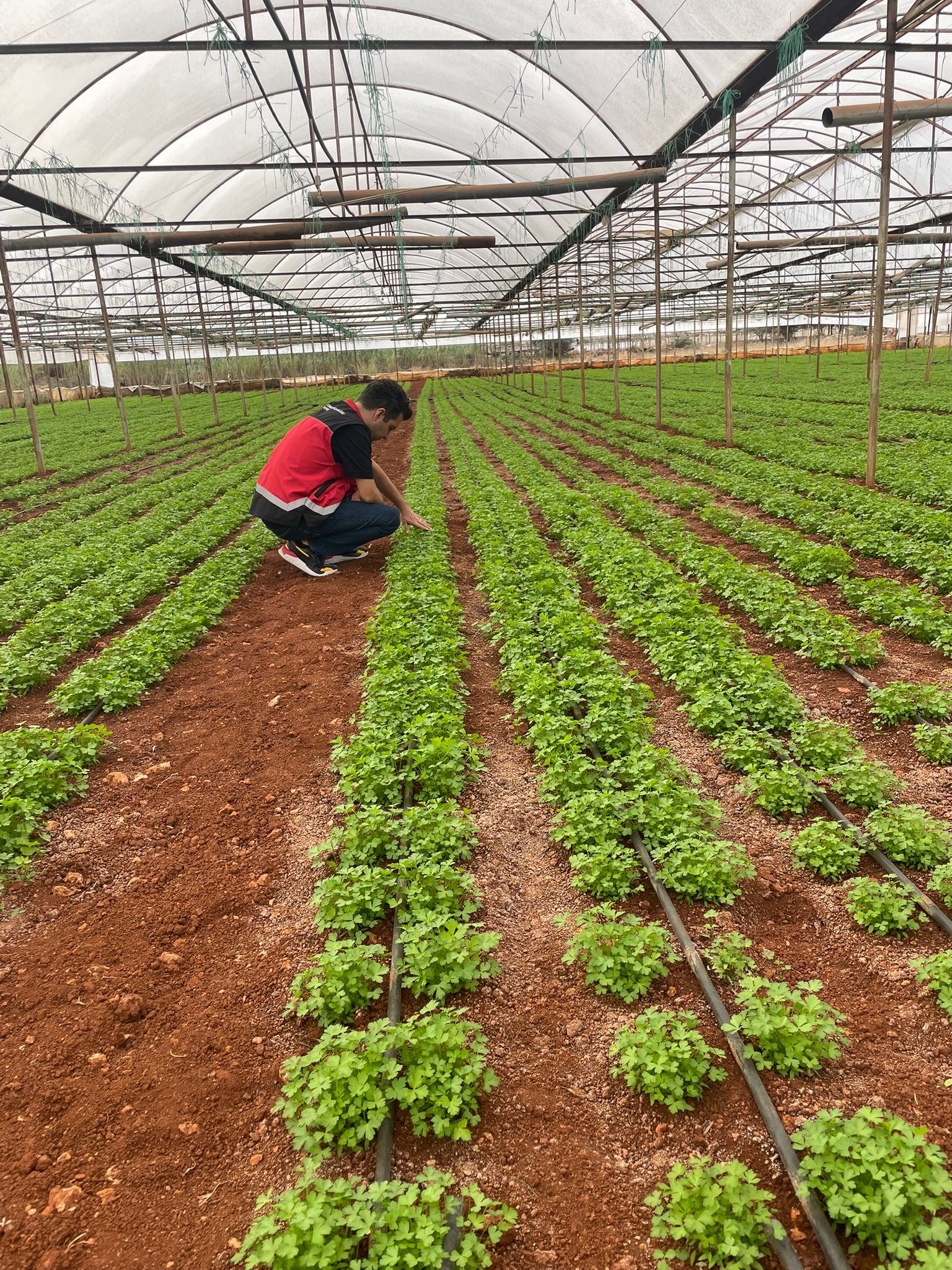 Biyoteknik Mücadele