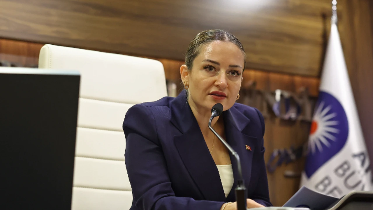 Busra Dirgen Ozdemir