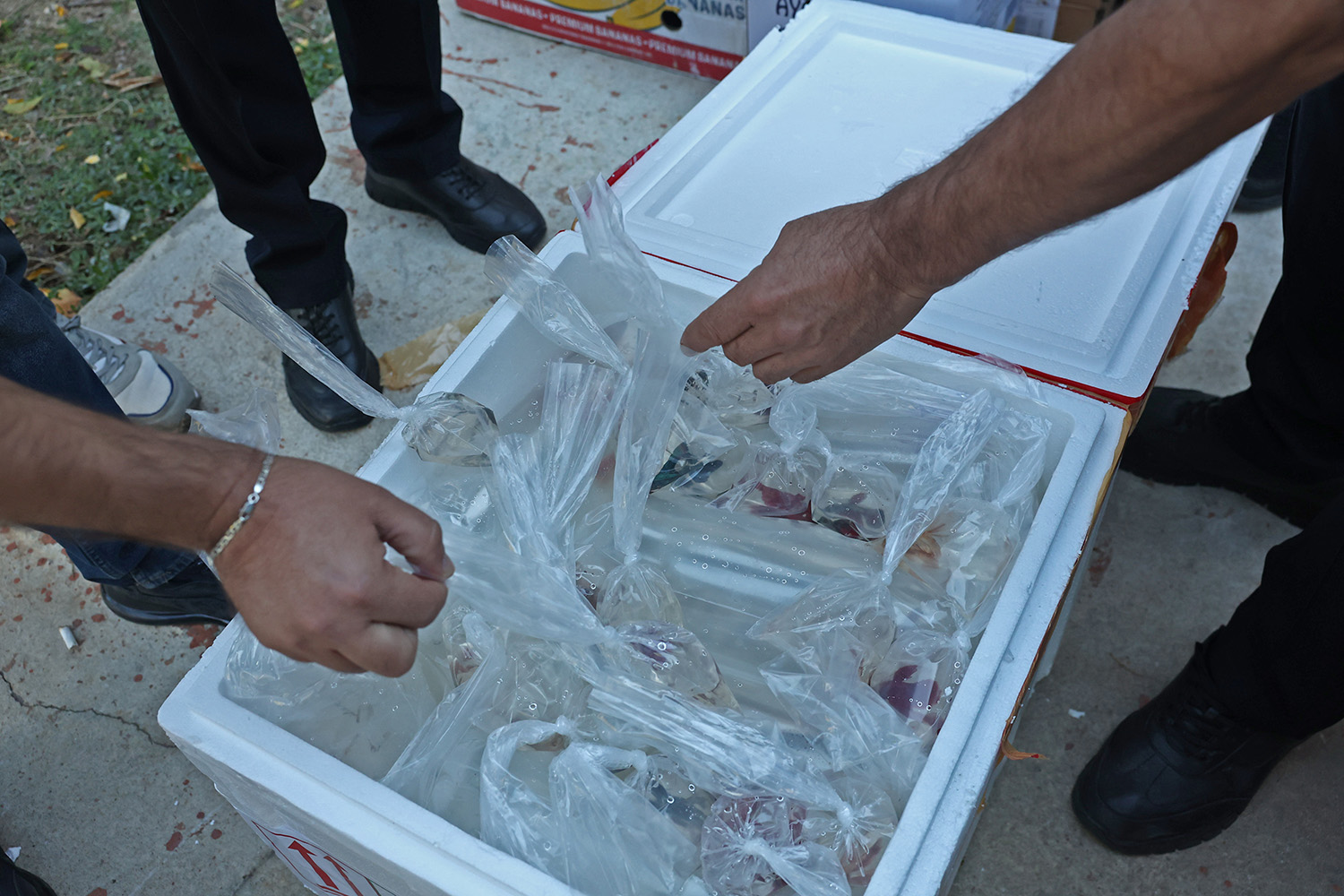 Büyükşehir Zabıtasından Terminalde Operasyon (5)