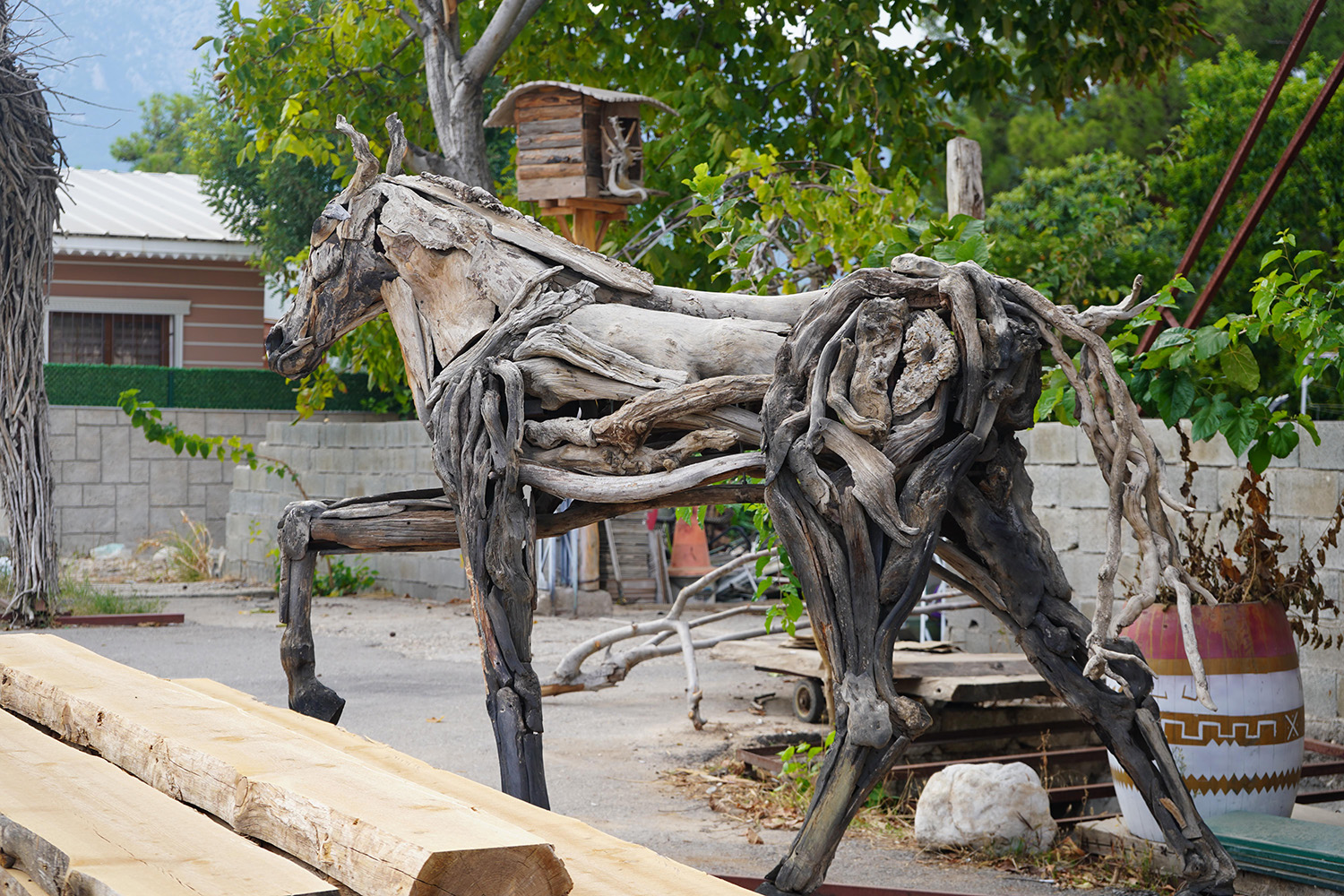 D O G A N I N A T I K L A R I N I S A N A T A D O N U S T U R U Y O R 991807 294288