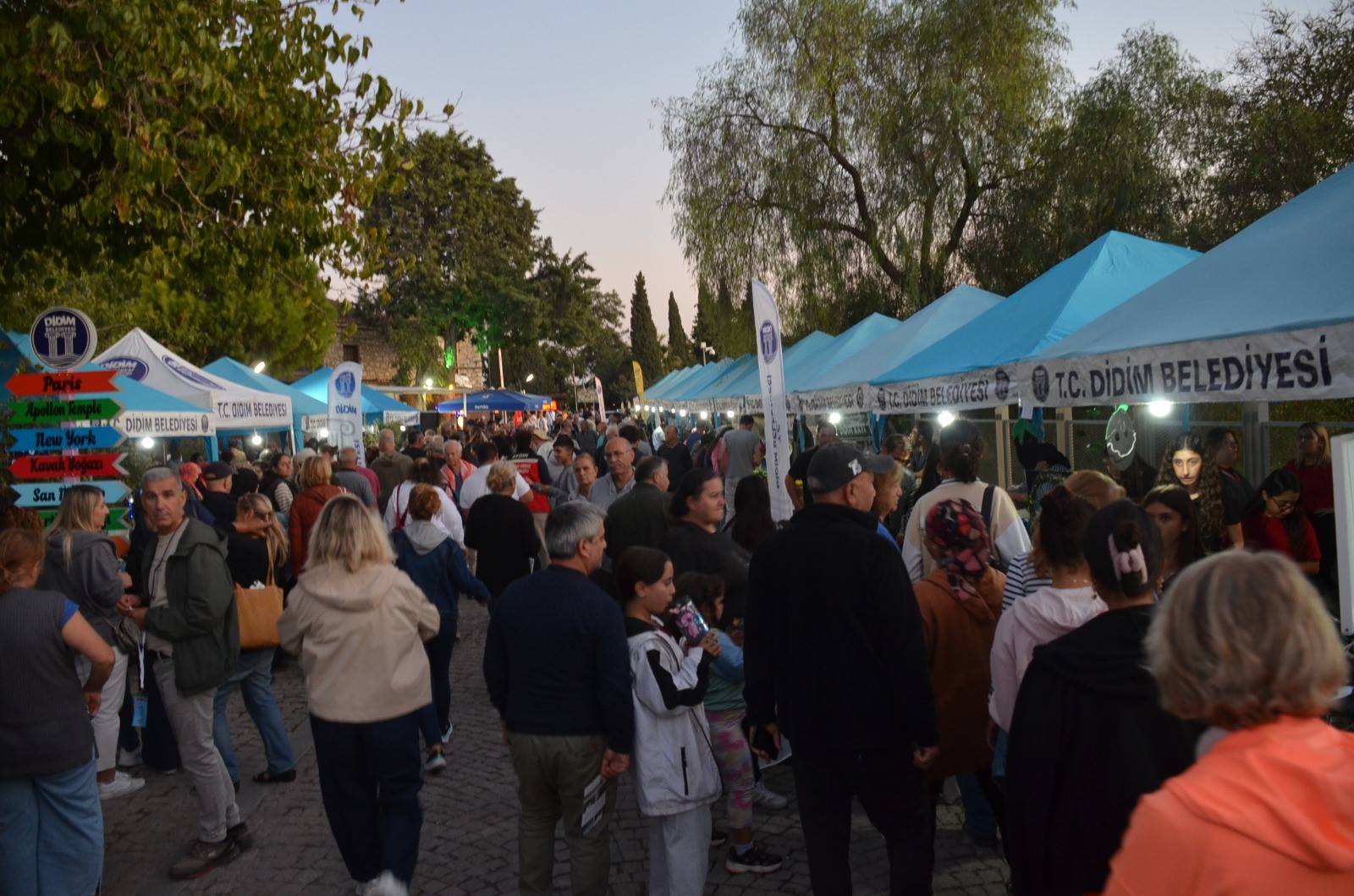 Didim Zeytin Festivali (4)