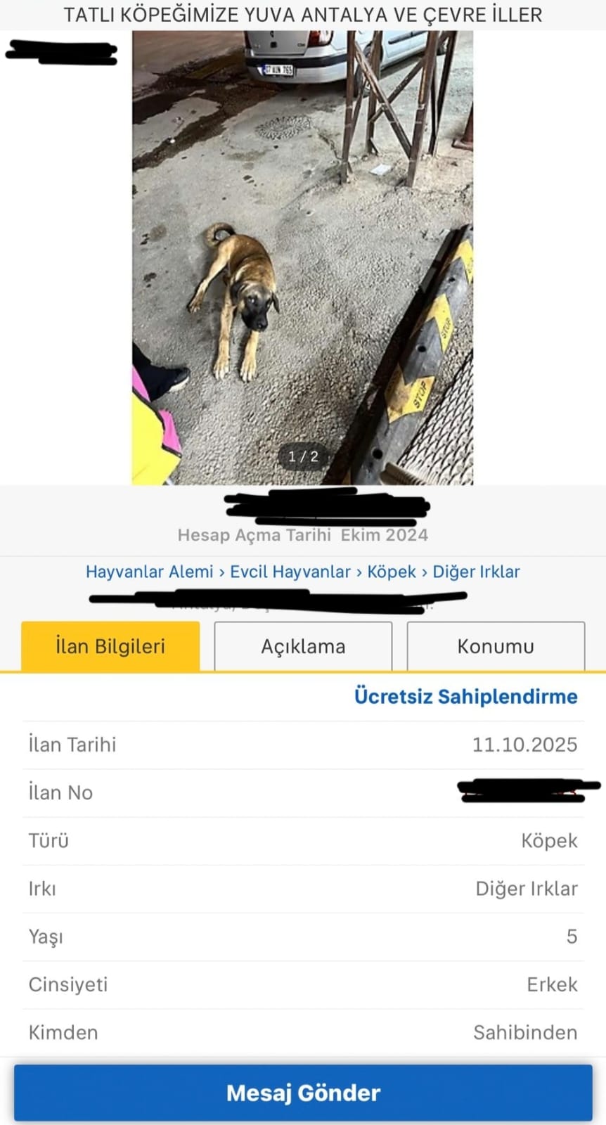 Evcil Hayvan Sahiplendirme (2)