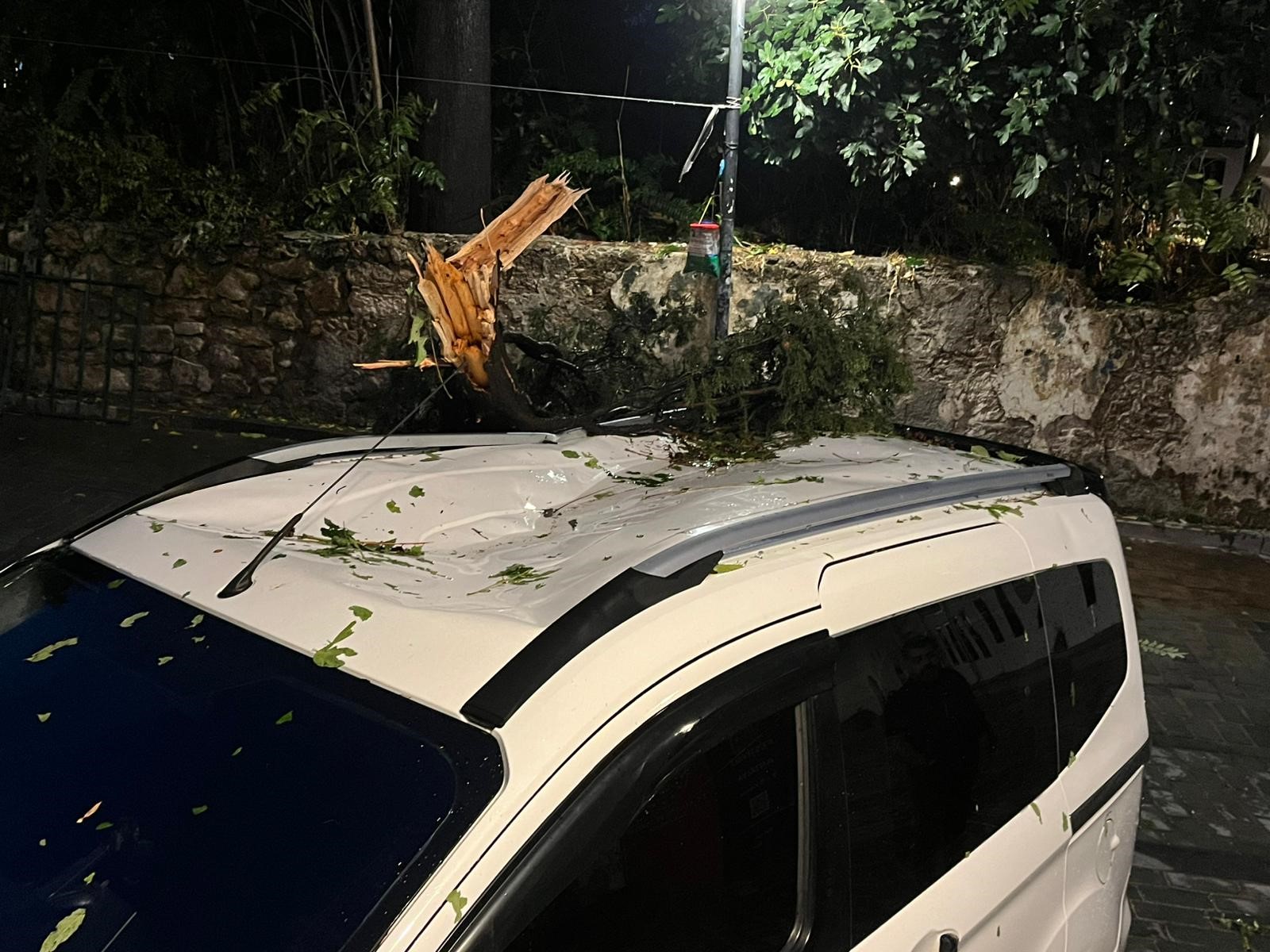 Firtinanin Devirdiği Agac Aracin Ustune Dustu (3)