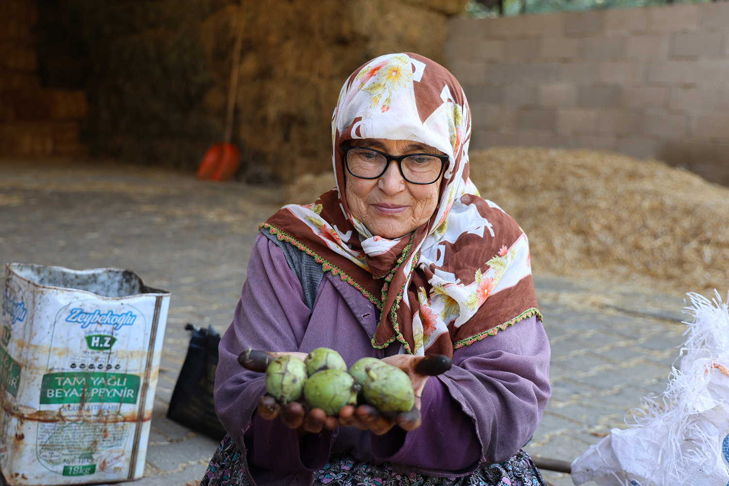 Hasadı Yapılan Cevizler Satışa Hazırlanıyor (3)