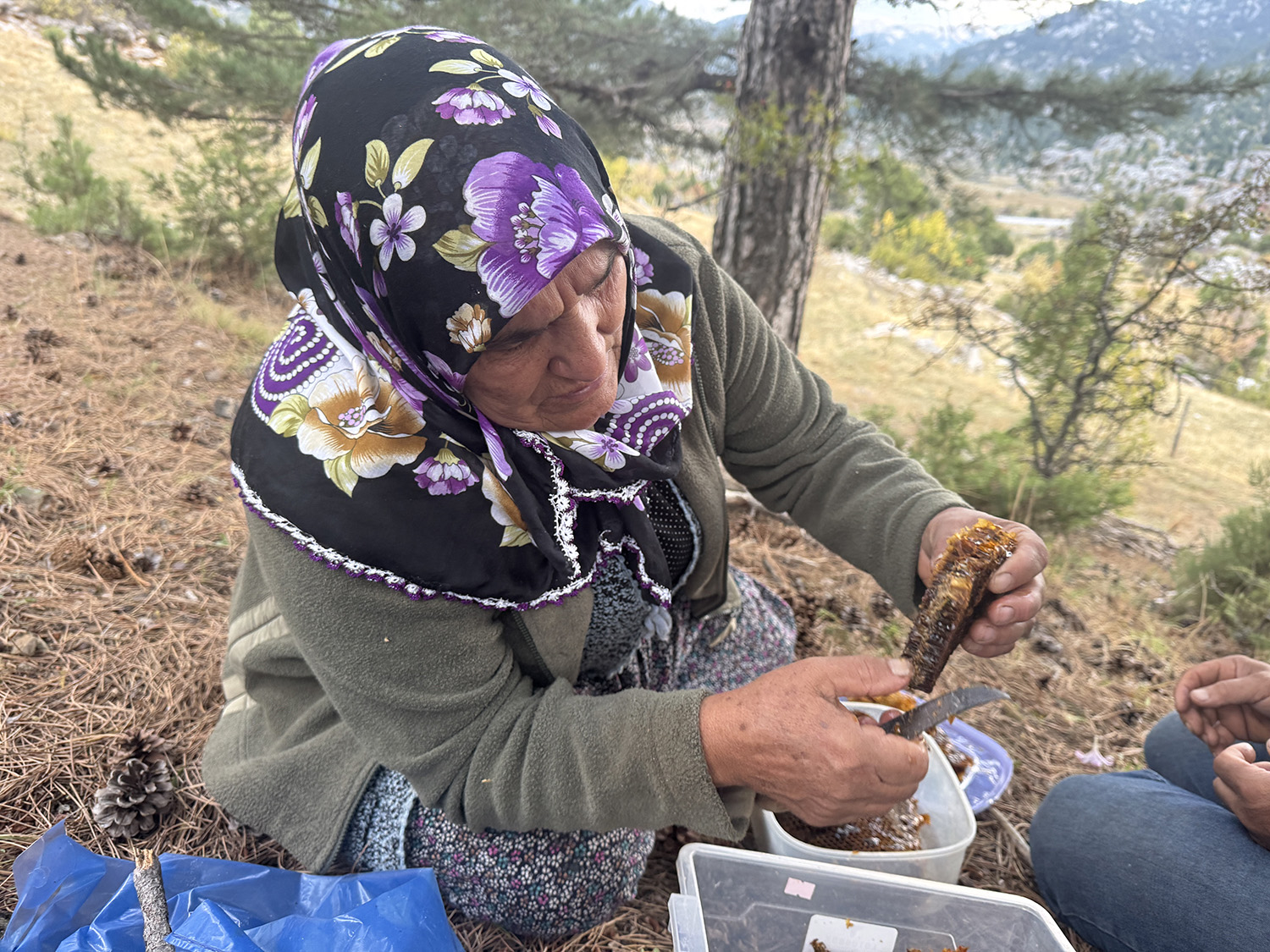 İzi Sürüp Toroslardaki Doğal Kovanları Buluyorlar (8)