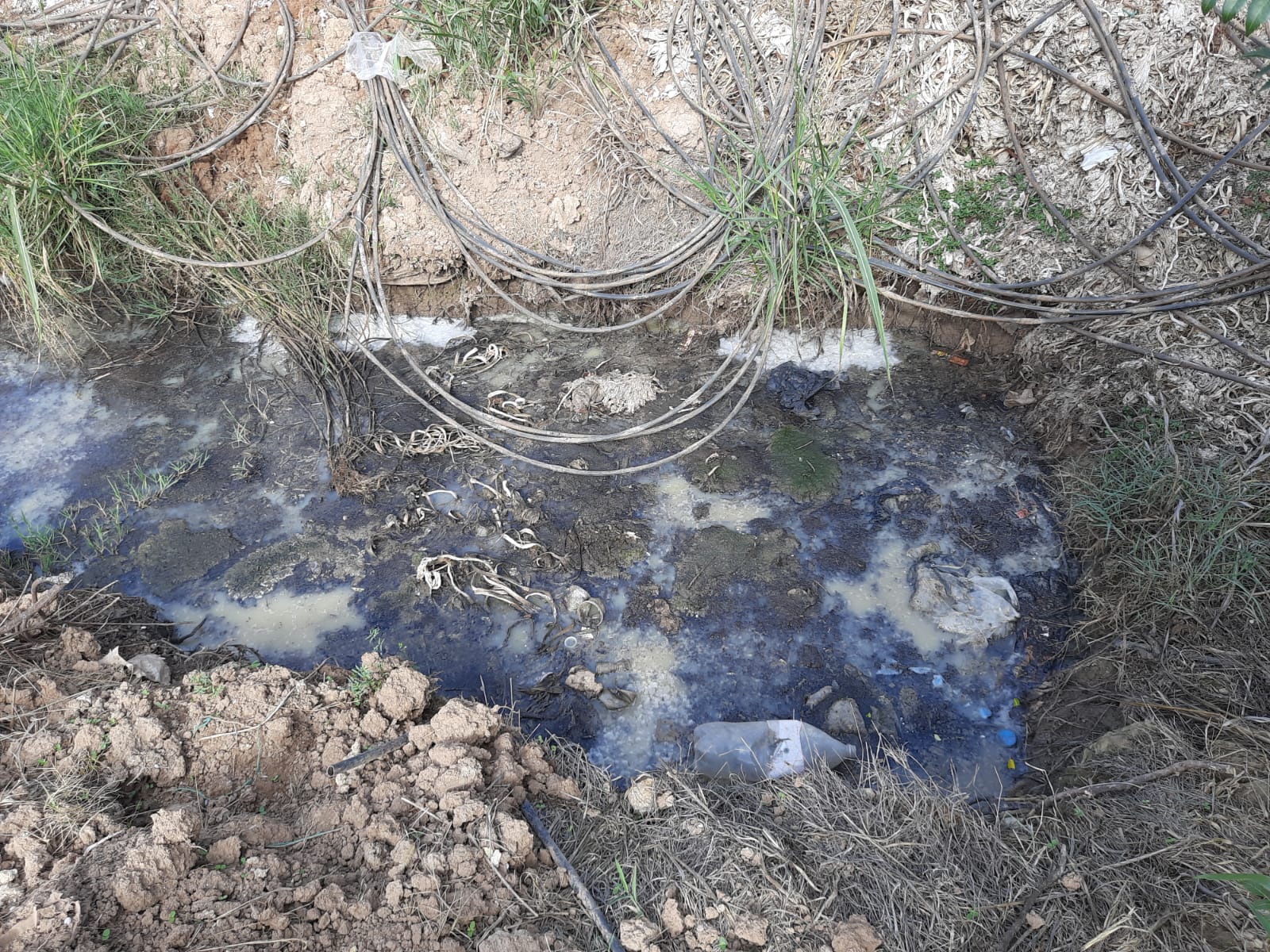 Kepez Düdenbaşı Mahallesi Nerede (3)